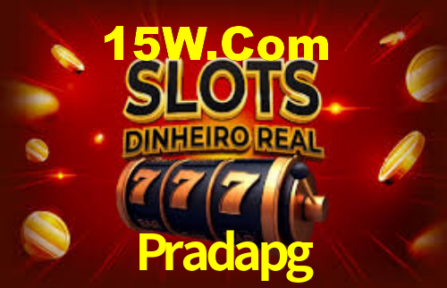 Interface Premium Pradapg